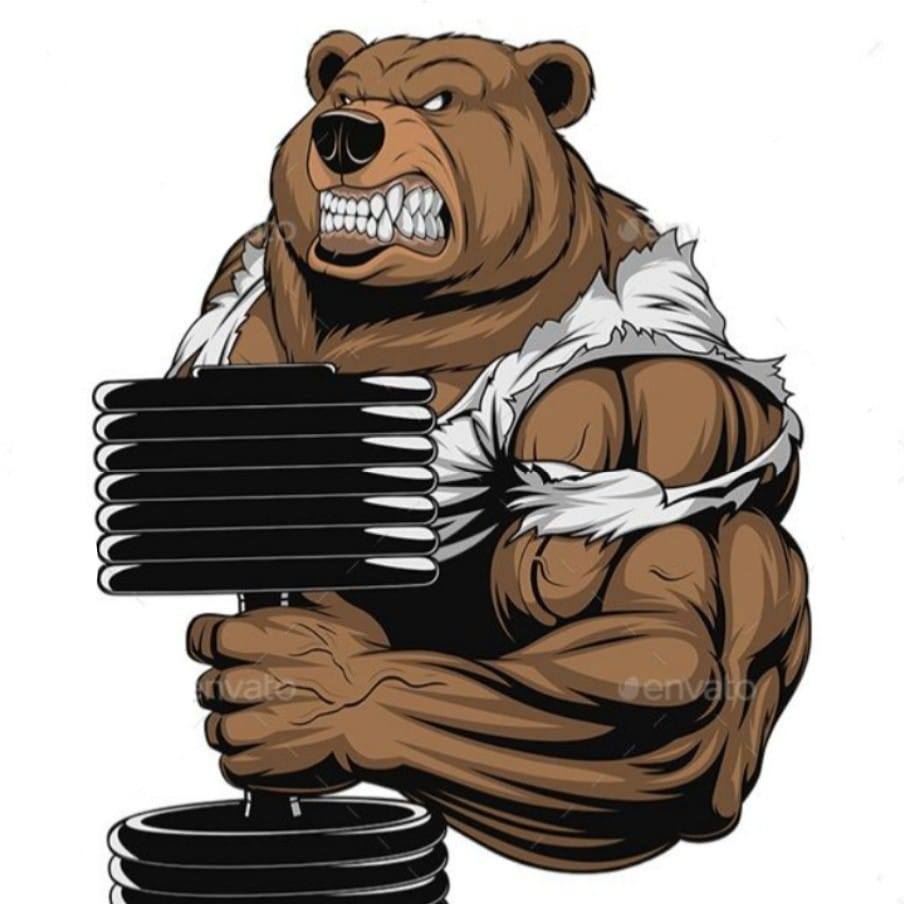 Bear Gym & Fitness