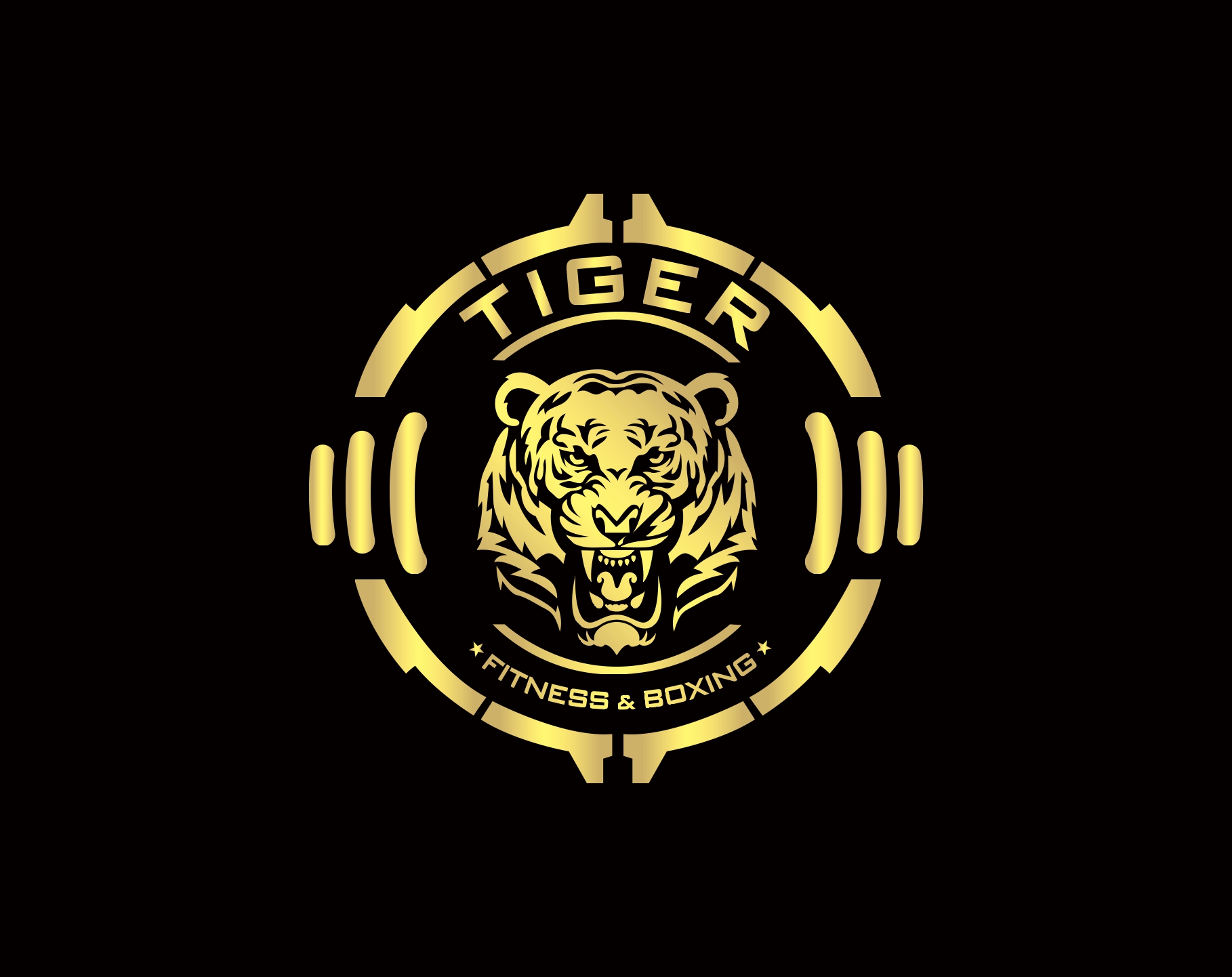 Tiger Fitness Boxing