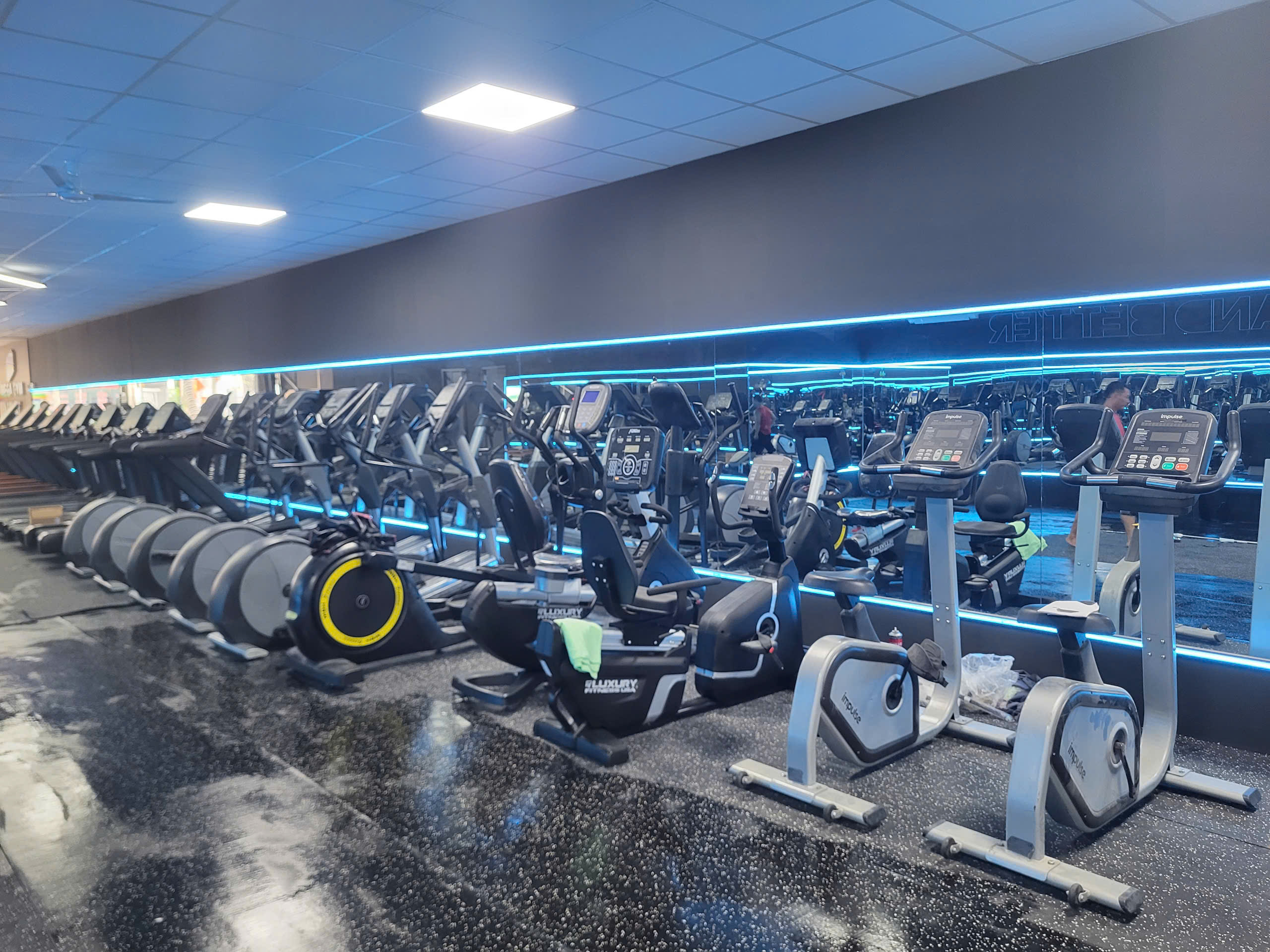 Mega Gym