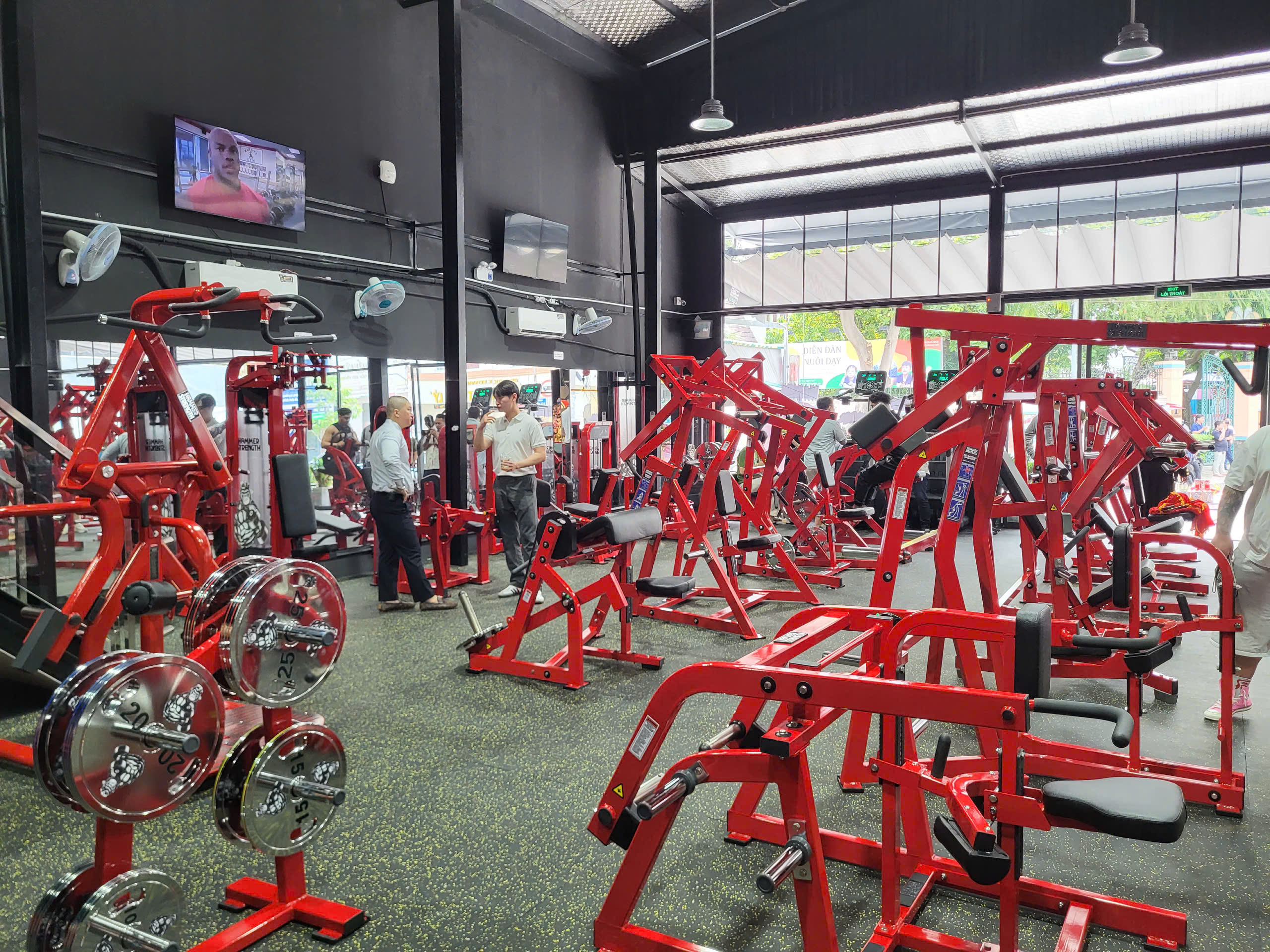 GORILLA GYM