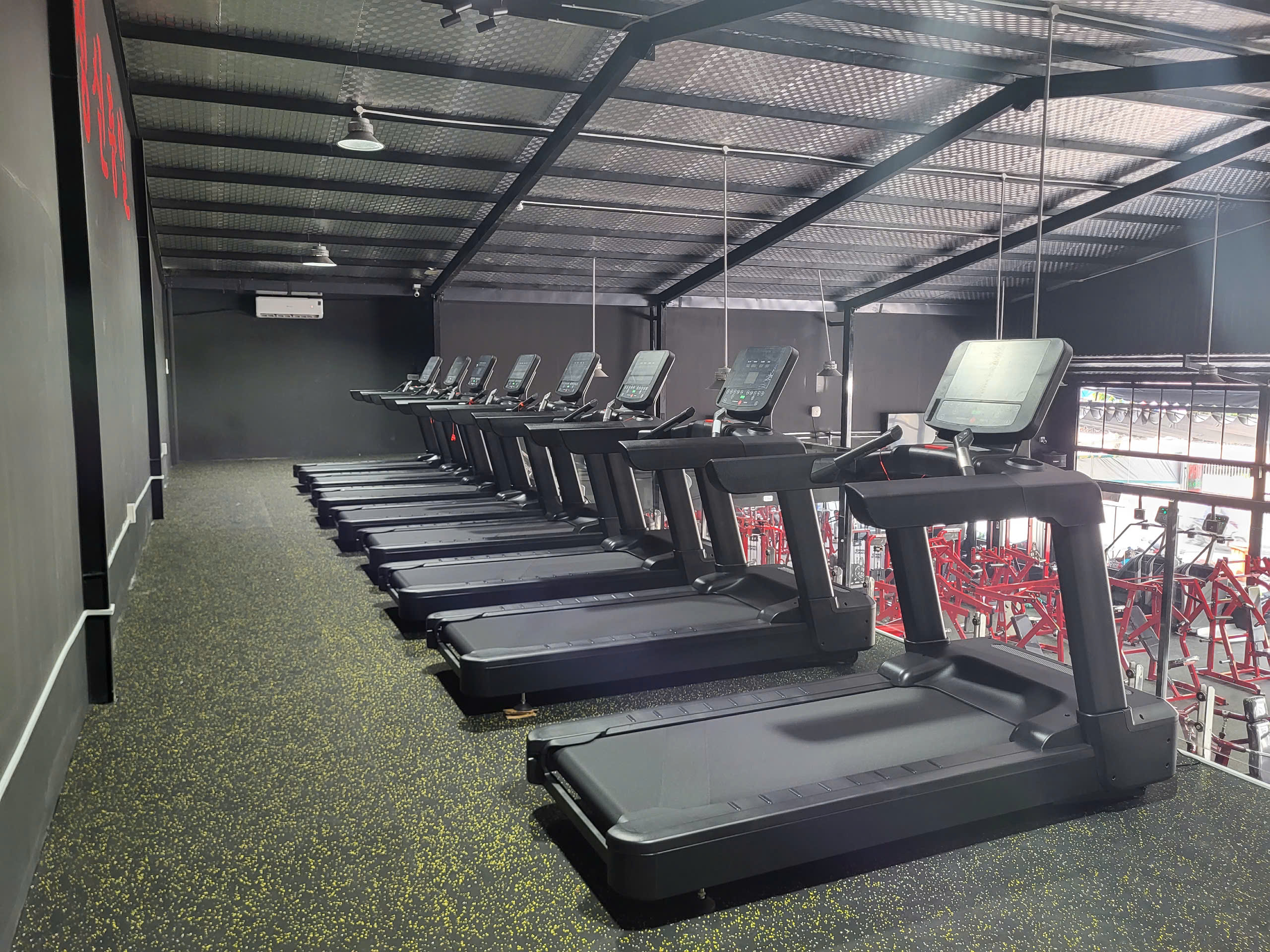 GORILLA GYM
