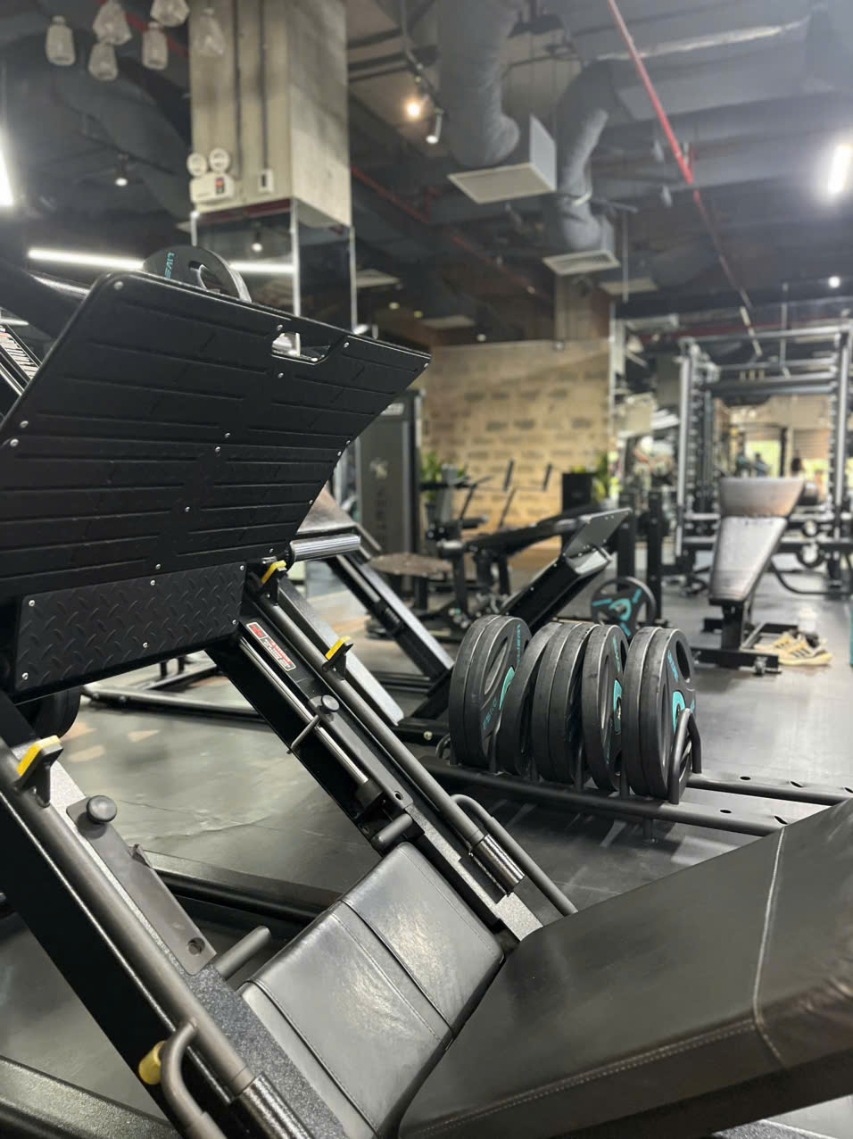 Gà Gym