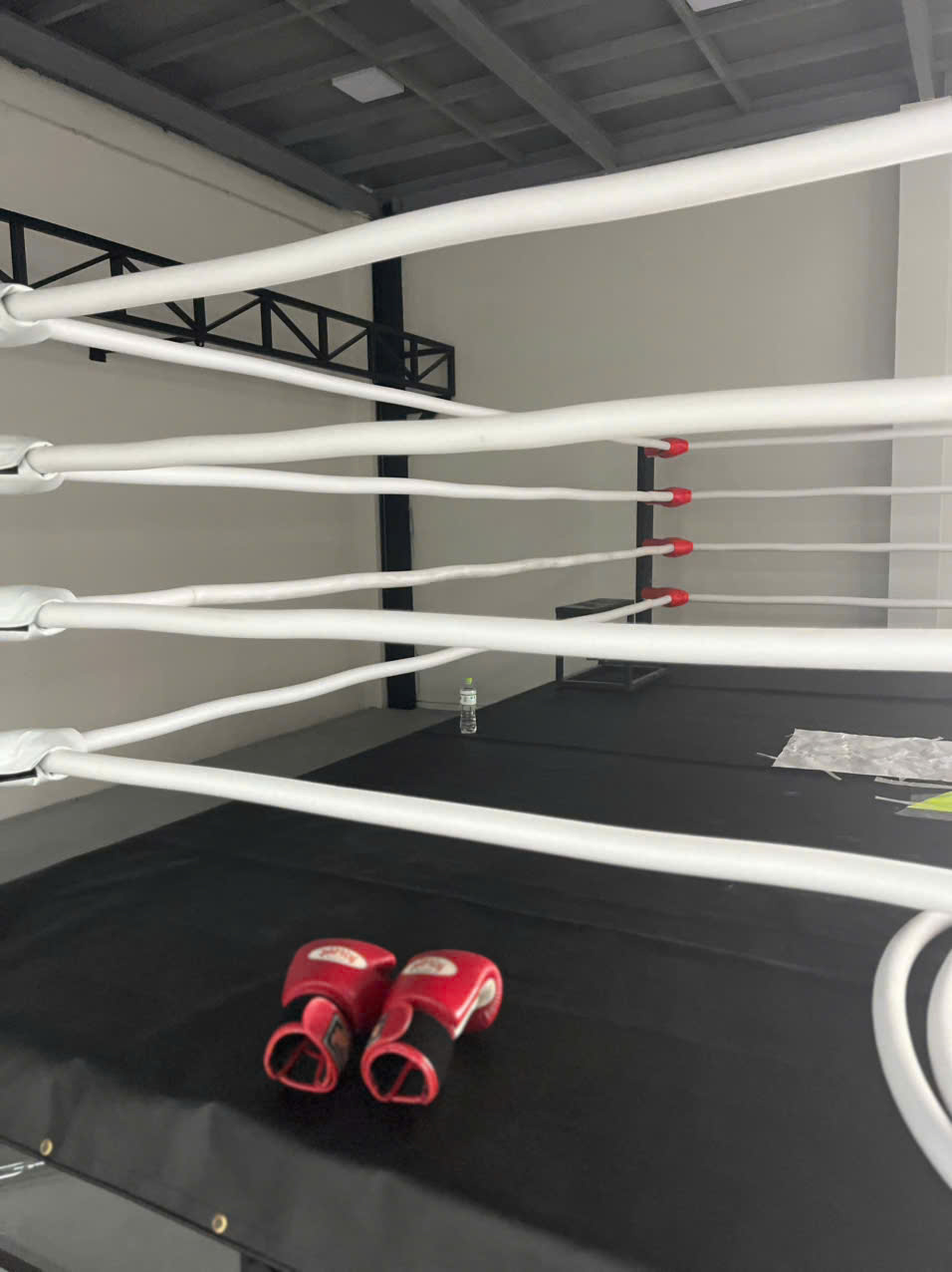 Boxing Đông Ý