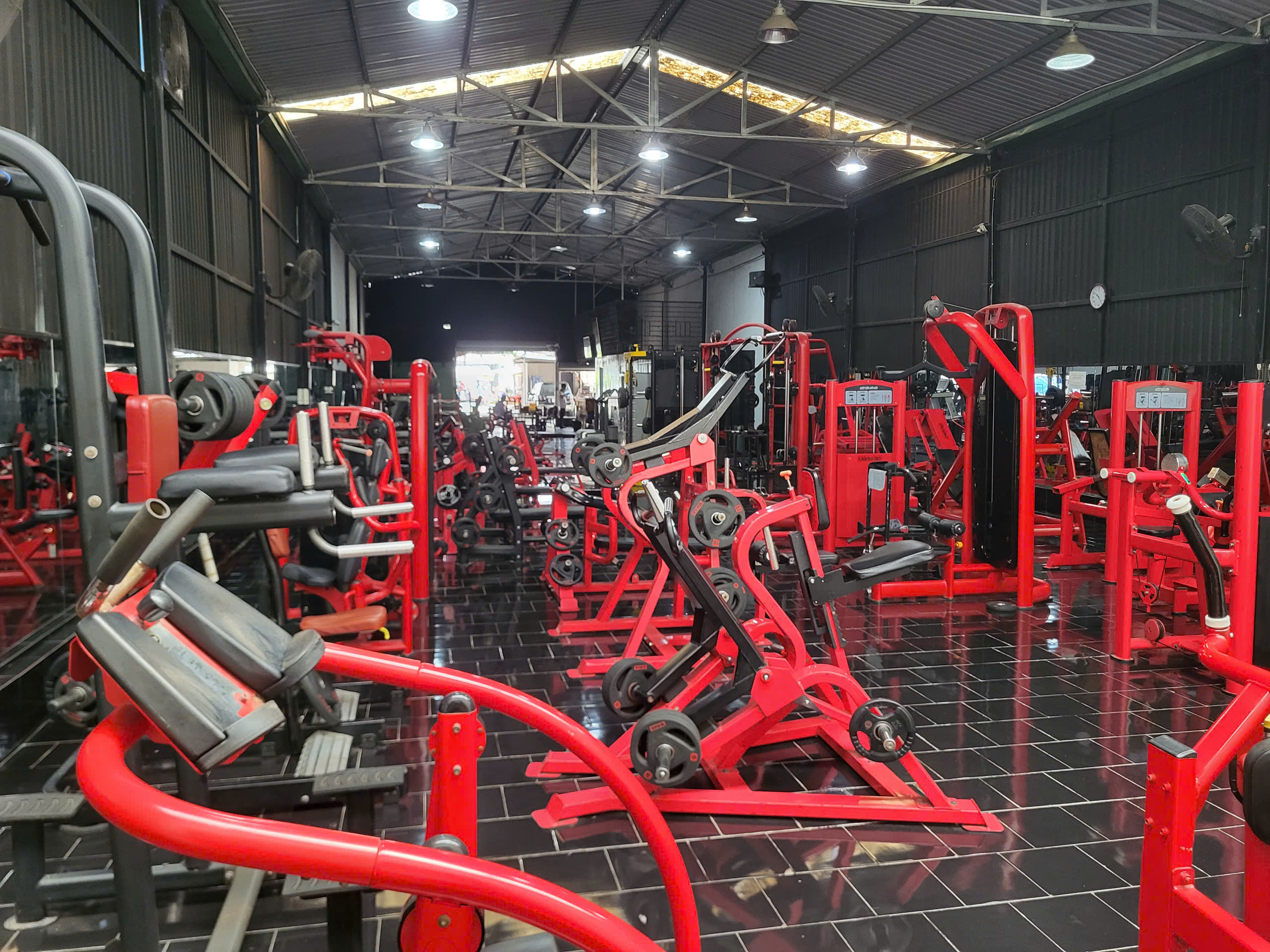 GymPlus
