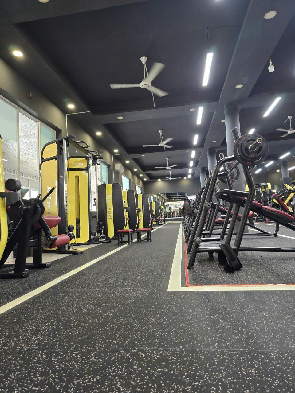 Gym Thoy