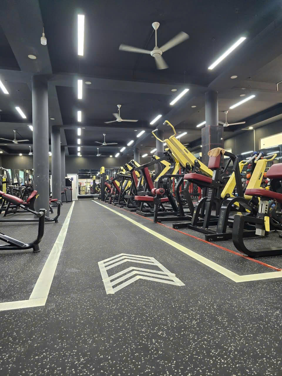 Gym Thoy