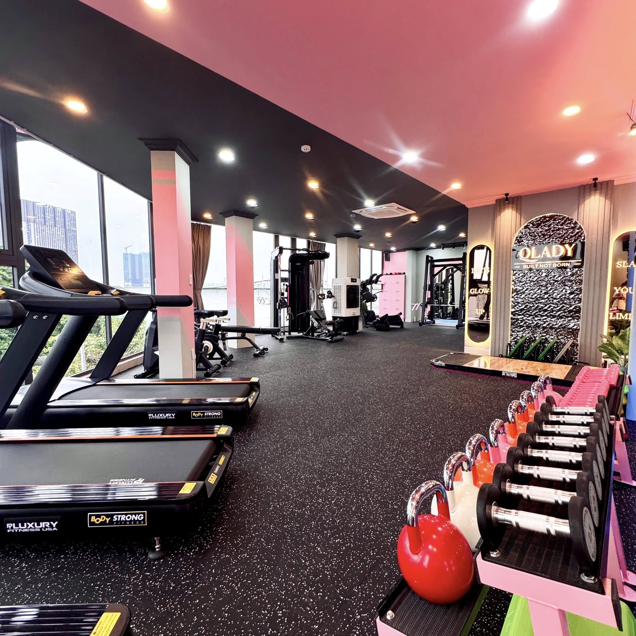 QLADY GYM