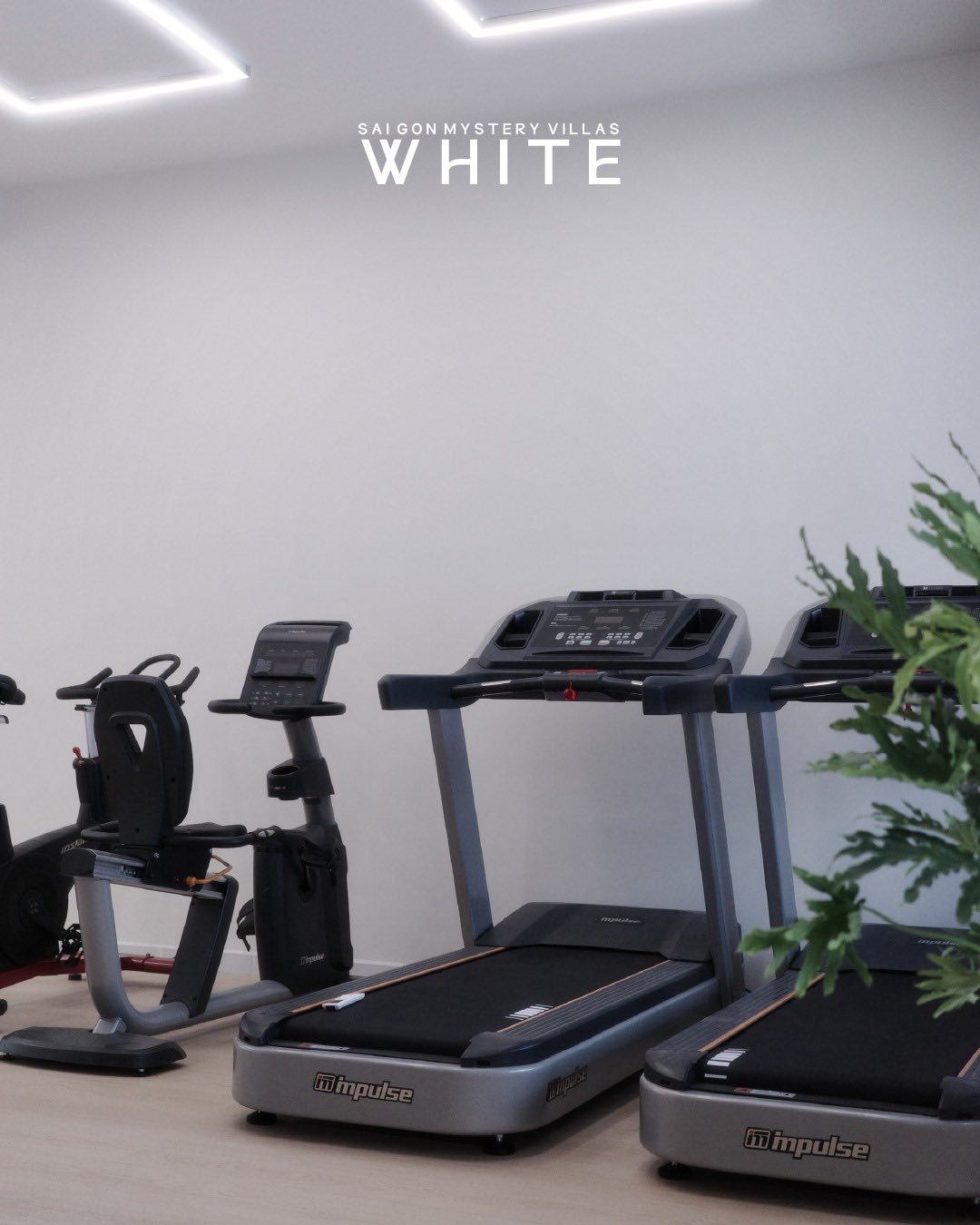 The White Gym