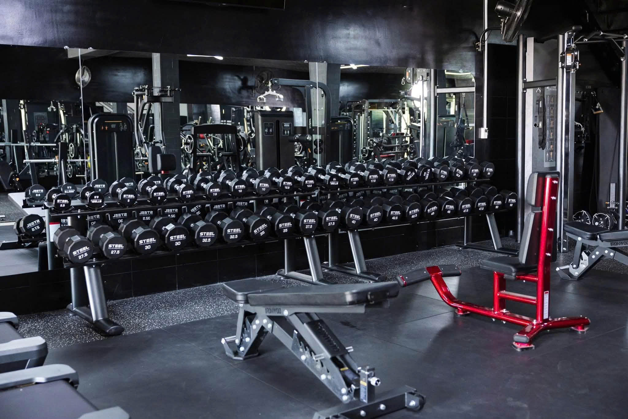 Steel Fitness