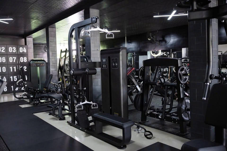 Steel Fitness