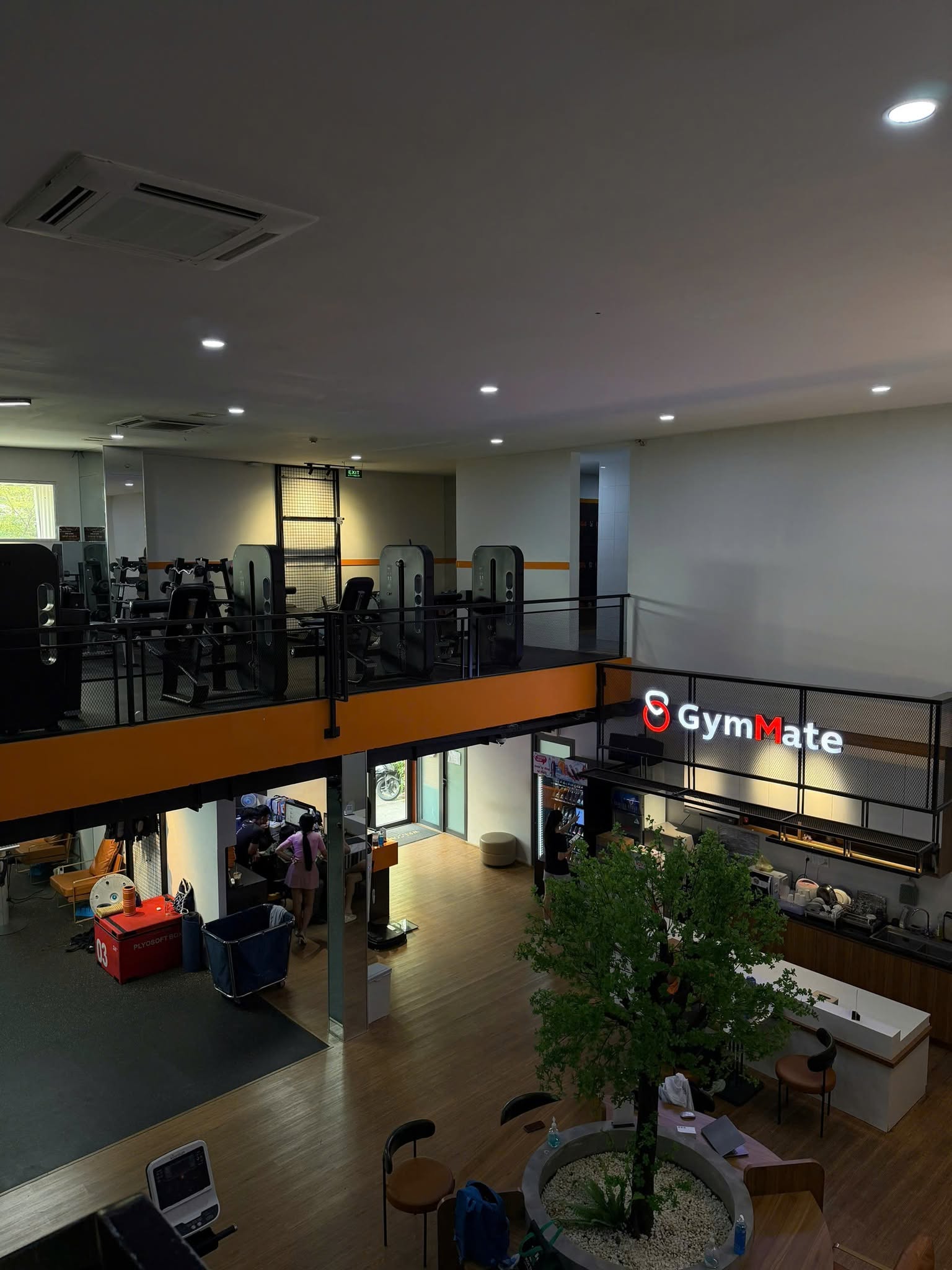 Gym Mate D7