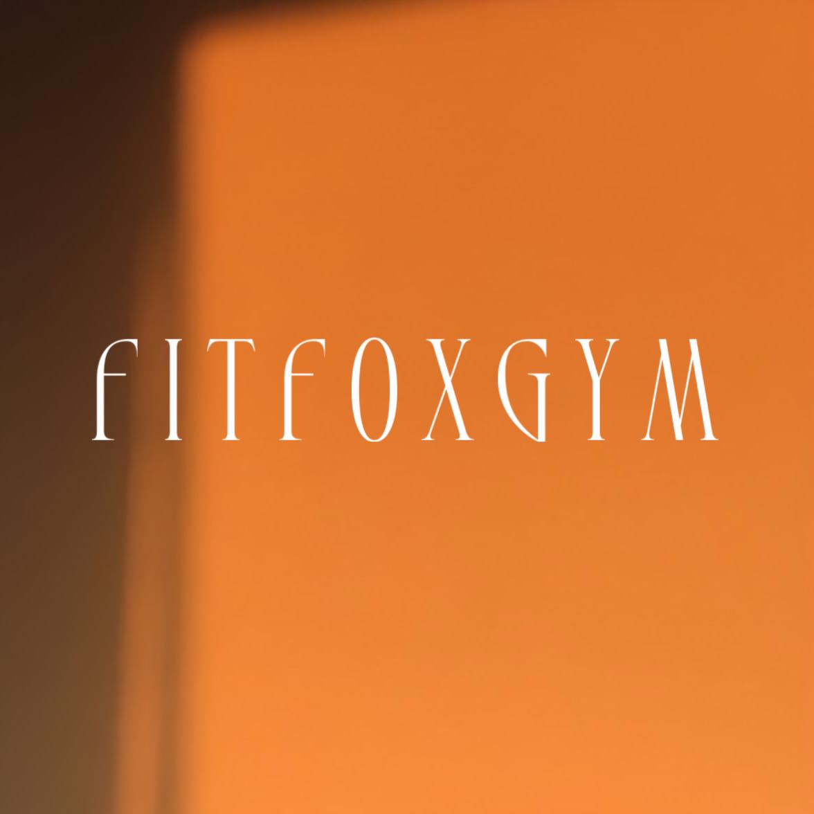 FITFOX GYM