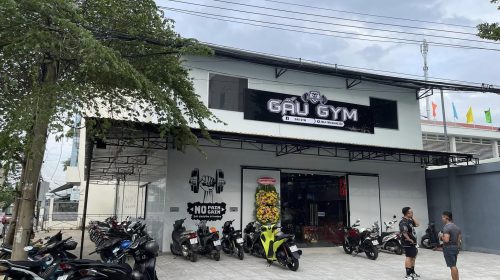 Gấu Gym