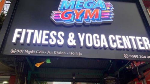 Mega Gym An Khánh