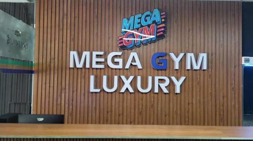 Mega Gym