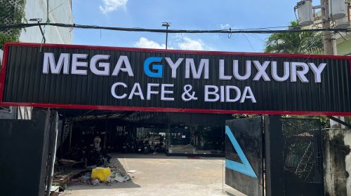 Mega Gym