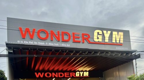 Wonder Gym