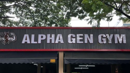 Alpha Gen Gym